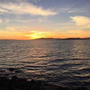 Meet your Posher, Betts